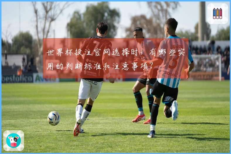 世界杯投注官网选择时，有哪些实用的判断标准和注意事项？
