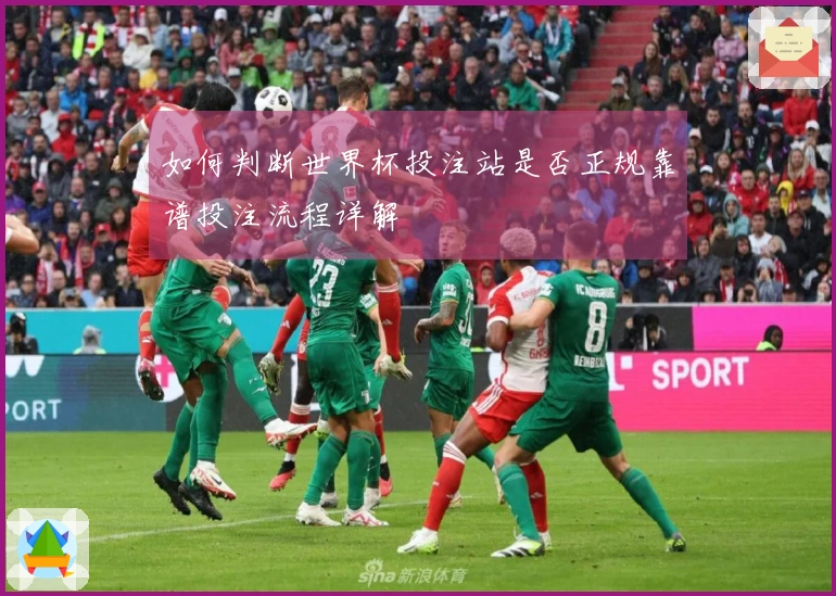 如何判断世界杯投注站是否正规靠谱投注流程详解