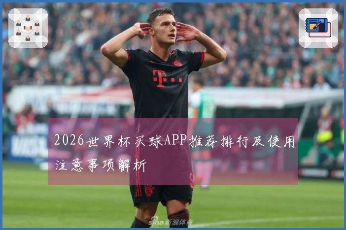 2026世界杯买球APP推荐排行及使用注意事项解析