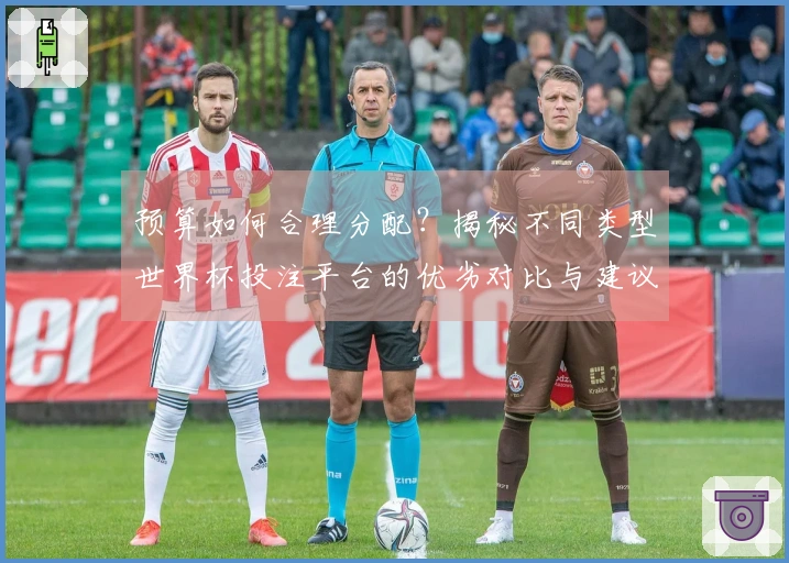 预算如何合理分配？揭秘不同类型世界杯投注平台的优劣对比与建议