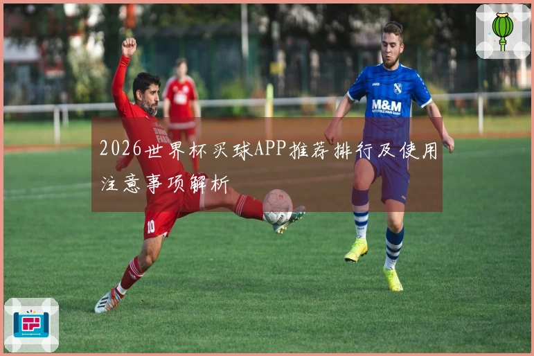 2026世界杯买球APP推荐排行及使用注意事项解析