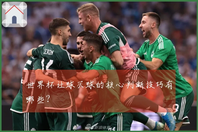 世界杯让球买球的核心判断技巧有哪些？