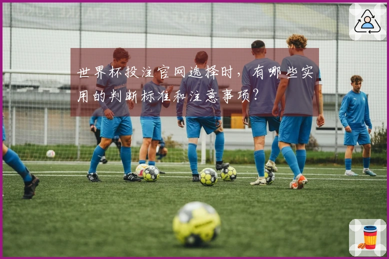 世界杯投注官网选择时，有哪些实用的判断标准和注意事项？
