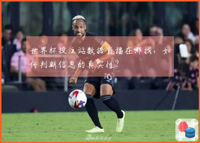世界杯投注站数据直播在哪找，如何判断信息的真实性？