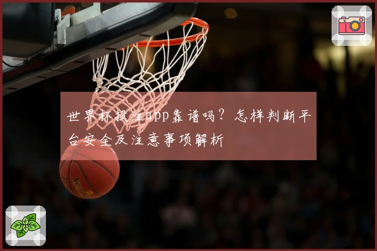 世界杯投注app靠谱吗？怎样判断平台安全及注意事项解析