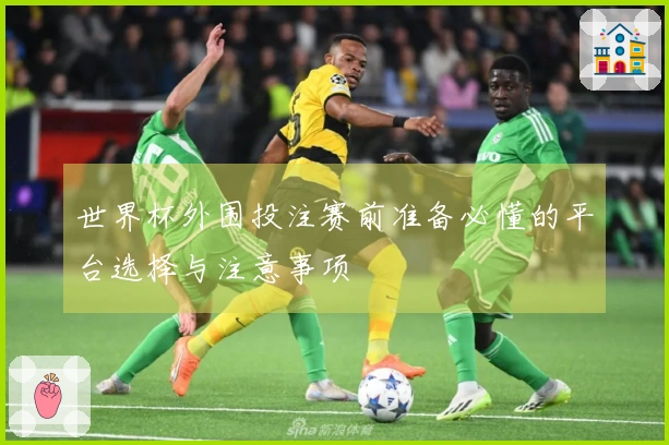 世界杯外围投注赛前准备必懂的平台选择与注意事项