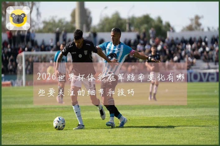 2026世界杯体彩冠军赔率变化有哪些要关注的细节和技巧