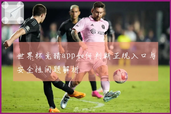 世界杯竞猜app如何判断正规入口与安全性问题解析
