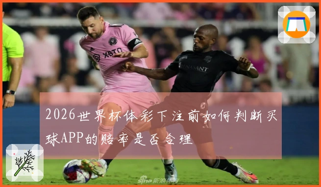 2026世界杯体彩下注前如何判断买球APP的赔率是否合理