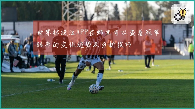 世界杯投注APP在哪里可以查看冠军赔率的变化趋势及分析技巧