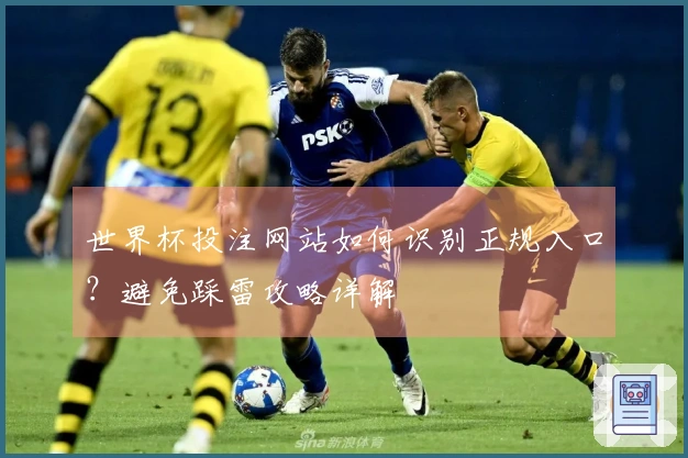 世界杯投注网站如何识别正规入口?避免踩雷攻略详解