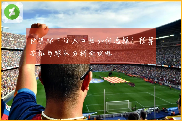 世界杯下注入口该如何选择？预算安排与球队分析全攻略