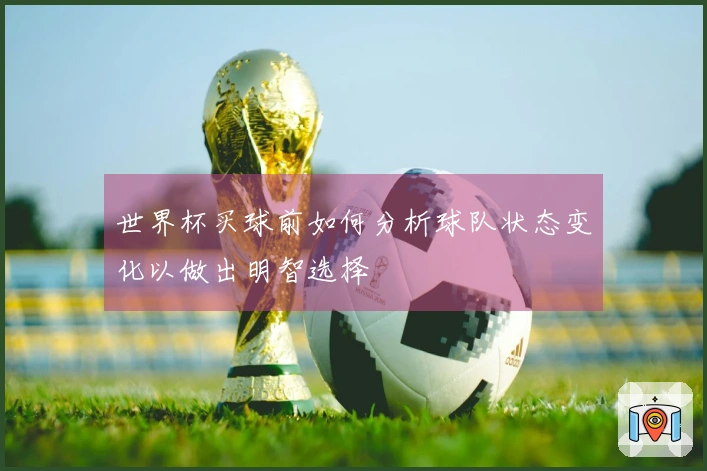 世界杯买球前如何分析球队状态变化以做出明智选择