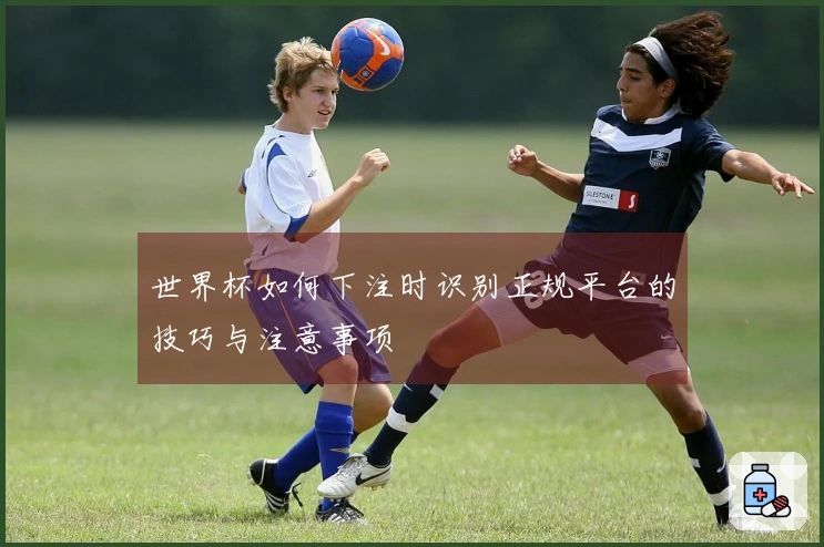 世界杯如何下注时识别正规平台的技巧与注意事项