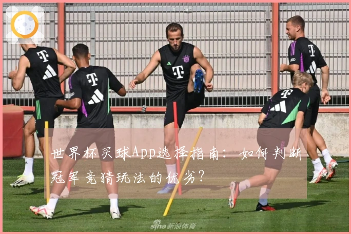 世界杯买球App选择指南：如何判断冠军竞猜玩法的优劣？